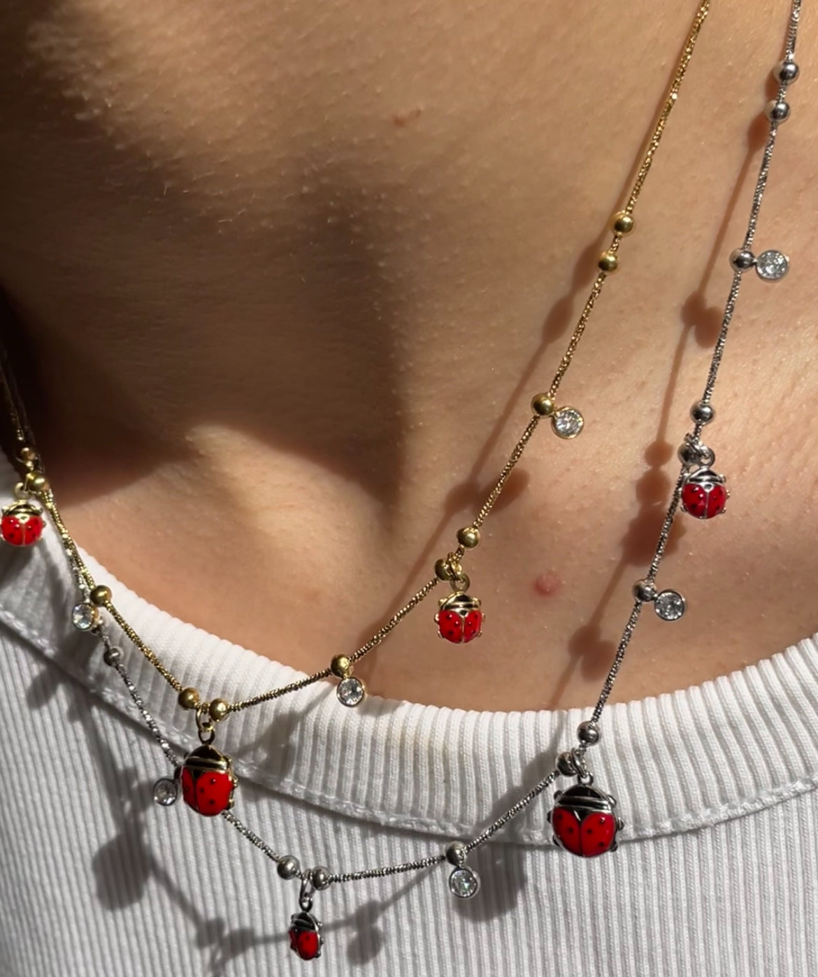 Coccinella drama