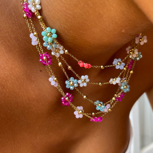 Margherita cristallo